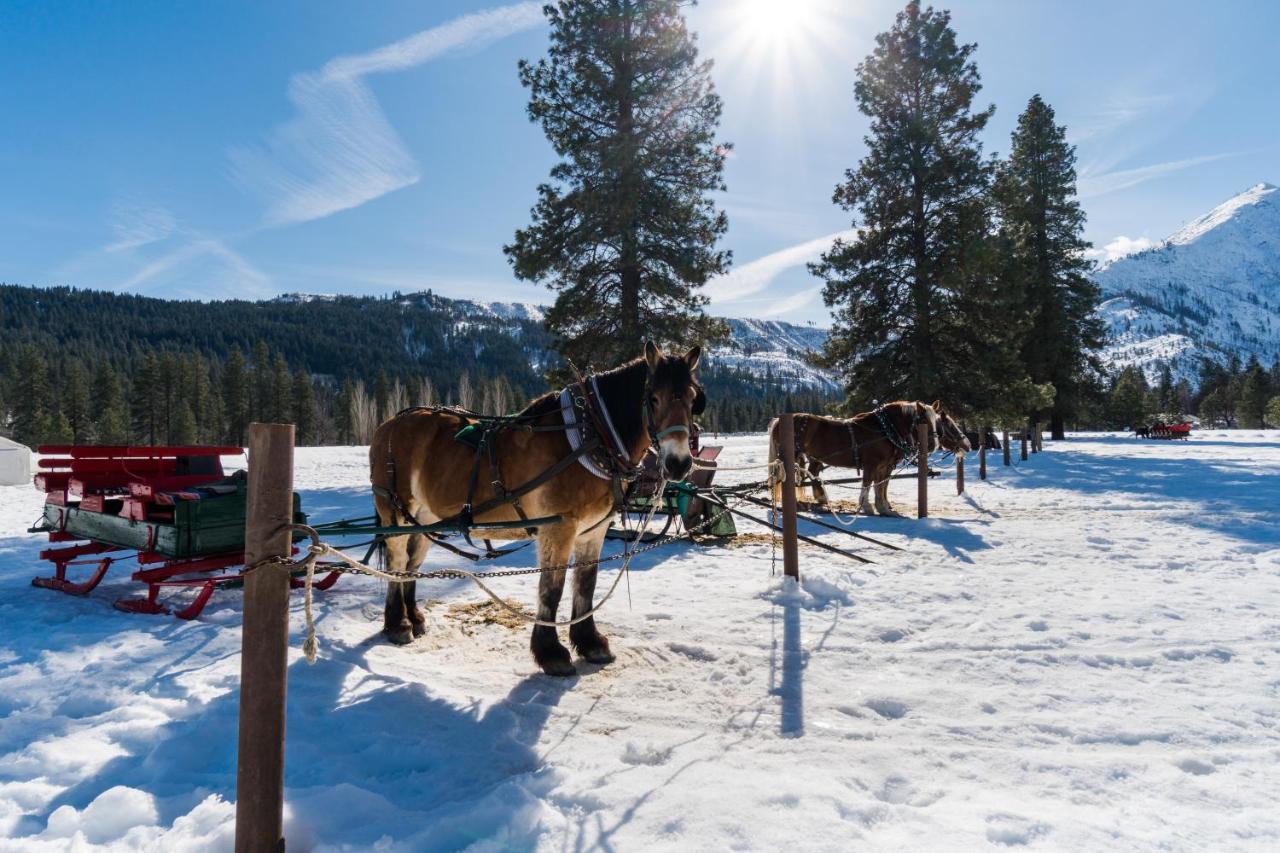 Aspen Suites 506: The Nest Leavenworth Eksteriør bilde